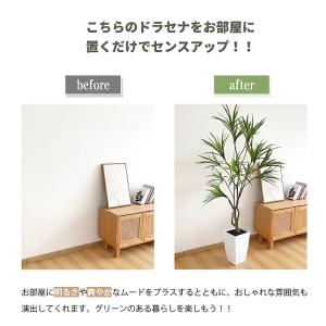 爆買 RAKU フェイクグリーン 観葉植物 人...の詳細画像3