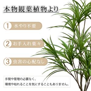 爆買 RAKU フェイクグリーン 観葉植物 人...の詳細画像4