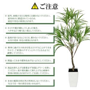 爆買 RAKU フェイクグリーン 観葉植物 人...の詳細画像5