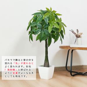 爆買 RAKU フェイクグリーン パキラ 人工...の詳細画像1