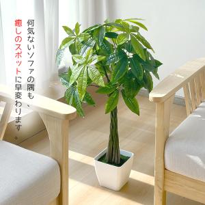 爆買 RAKU フェイクグリーン パキラ 人工...の詳細画像2