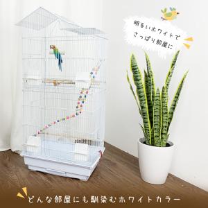 爆買 RAKU バードケージ 鳥カゴ 鳥小屋 ...の詳細画像1