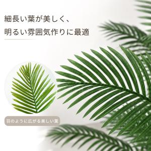 爆買 RAKU アレカヤシ フェイクグリーン ...の詳細画像5