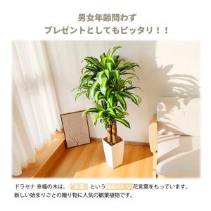 爆買 RAKU フェイクグリーン 人工観葉植物...の詳細画像1