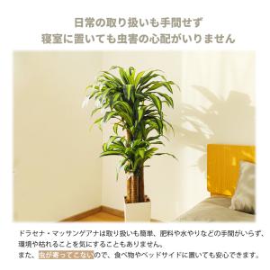 爆買 RAKU フェイクグリーン 人工観葉植物...の詳細画像2