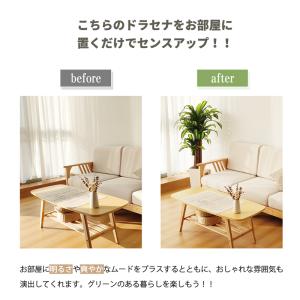 爆買 RAKU フェイクグリーン 人工観葉植物...の詳細画像3