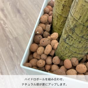 爆買 RAKU フェイクグリーン 人工観葉植物...の詳細画像4