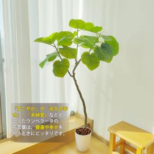 爆買 フェイクグリーン 人工観葉植物 RAKU...の詳細画像1