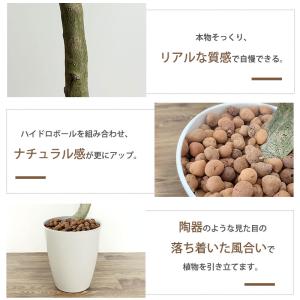 爆買 フェイクグリーン 人工観葉植物 RAKU...の詳細画像5