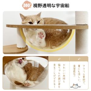 RAKU キャットタワー ねこタワー 子猫・短...の詳細画像3