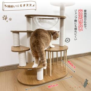 RAKU キャットタワー ねこタワー 子猫・短...の詳細画像4