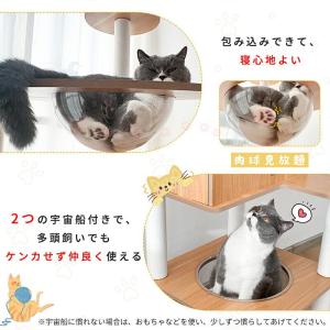 RAKU キャットタワー 木製 大型 据え置き...の詳細画像2