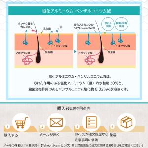 塩化アルミニウム 20%配合 えびす調剤薬局 ...の詳細画像4