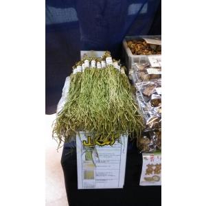 【210g】山くらげ