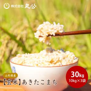 ヒメノモチ 令和7年産 高級 もち米 30kg 山形県産 玄米 送料無料 30kg 