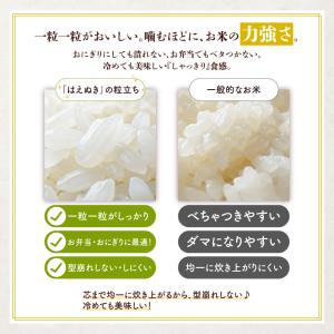 令和7年産 米 10kg 5kg×2袋 はえぬ...の詳細画像4