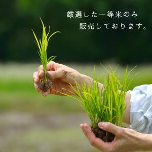 令和7年産 米 10kg 5kg×2袋 はえぬ...の詳細画像2