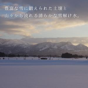 令和7年産 ひとめぼれ 20kg 米 お米 白...の詳細画像4