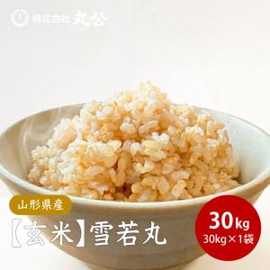 ヒメノモチ 令和7年産 高級 もち米 30kg 山形県産 玄米 送料無料 30kg