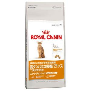 【基本送料込】ロイヤルカナン　FHN　エクシジェント42　栄養バランス　10kg　｜ebisupet