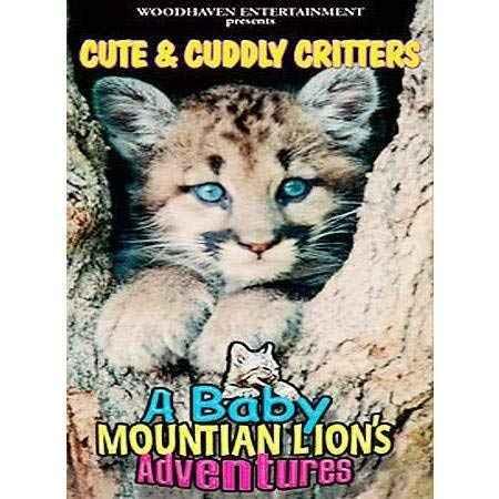 Baby Mountain Lion&apos;s Adventure DVD