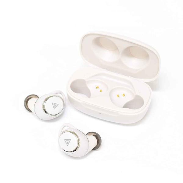 ANIMA ANW01 White TAKU INOUE監修Bluetooth完全ワイヤレスイヤホン...