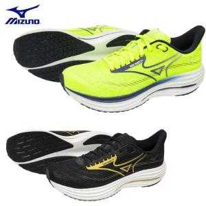 MIZUNO（ミズノ） WAVE RIDER GTX 2 ウエーブライダーGTX2 J1GC248201