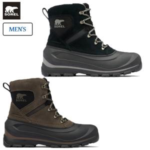 2025年12月】bear サーフのおすすめ人気ランキング - Yahoo!ショッピング