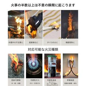 住宅用火災警報器 WIFI知能接続 スマホ遠隔...の詳細画像2