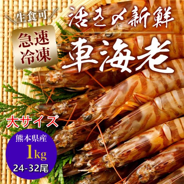 熊本県産 車海老 瞬間冷凍 1kg 大サイズ 24〜32尾 採れたて 即時瞬間冷凍で鮮度抜群！ 贈り...