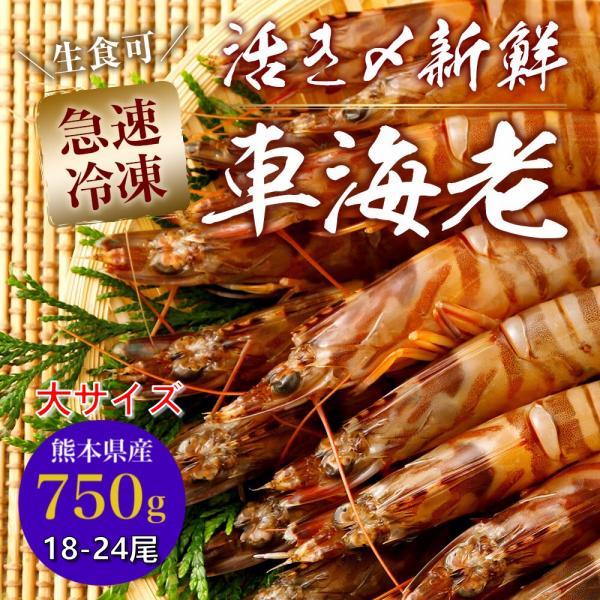 熊本県産 車海老 瞬間冷凍 750g 大サイズ 18〜24尾  採れたて 即時瞬間冷凍で鮮度抜群！ ...