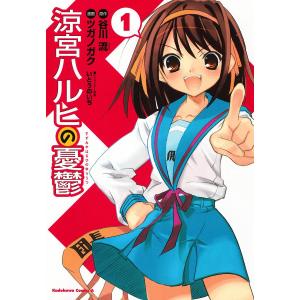 涼宮ハルヒの憂鬱 セット 1−11巻 谷川流 いとうのいぢ 角川スニーカー