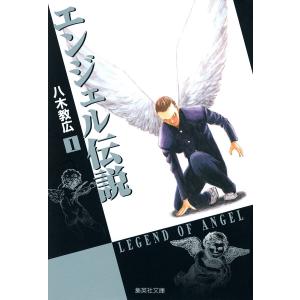 2月下旬より発送予定 / 新品 ライトノベル 西尾維新 物語シリーズ