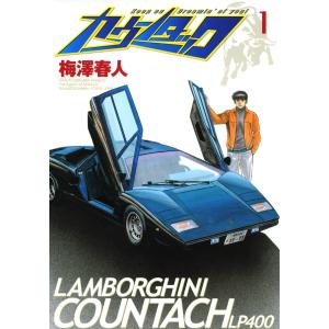 新品 / 特典あり 違国日記 (1-11巻 全巻)[出版社ペーパー付] 全巻