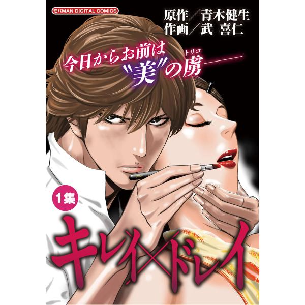 キレイ×ドレイ (全巻) 電子書籍版 / 原作:青木健生 作画:武喜仁