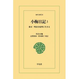 小梅日記 (3) 幕末・明治を紀州に生きる 電子書籍版 / 川合小梅 校訂:志賀裕春/村田静子｜ebookjapan