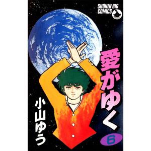 愛がゆく (6) 電子書籍版 / 小山ゆう