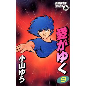 愛がゆく (9) 電子書籍版 / 小山ゆう
