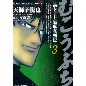 鉄緑会 化学発展講座 受験科テスト 第5〜25回 テスト計21回 014m0D