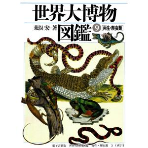 天孫人種六千年史の研究 1 復刻版/三島敦雄 : bookfanプレミアム