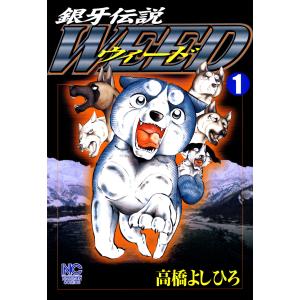 銀牙伝説ノア 全17巻 高橋よしひろ コミック 全巻、表紙アルコール除菌