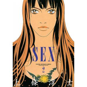 新品 / 上條淳士先生描き下ろし『SEX 30th AnniversaryEdition』収納