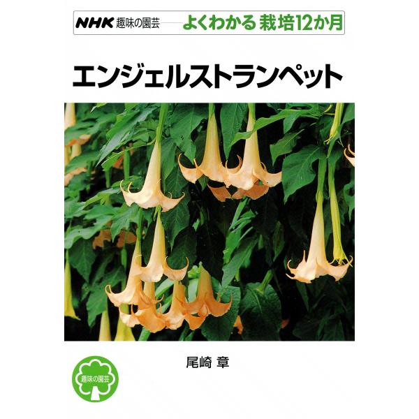 NHK趣味の園芸―よくわかる栽培12か月 エンジェルストランペット 電子書籍版 / 尾崎章
