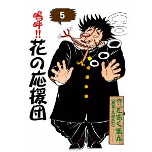 嗚呼 花の応援団 1−15巻 セット どおくまん コミック 全巻、表紙