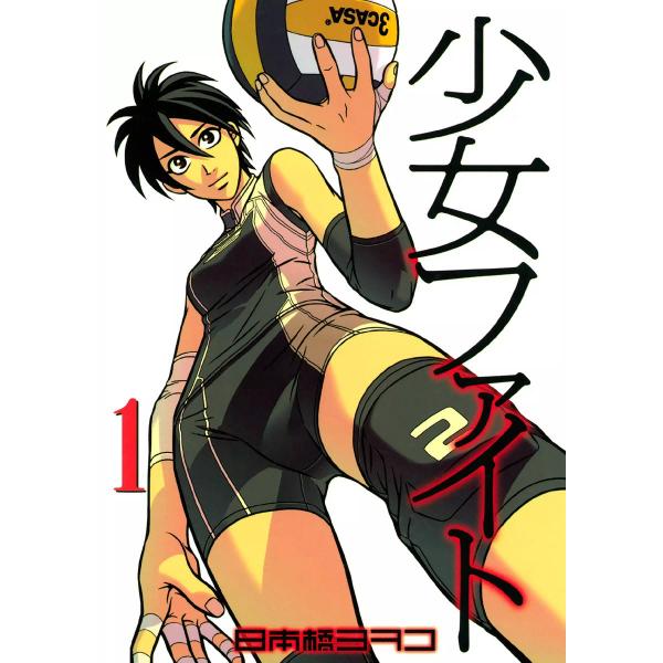 少女ファイト (1) 電子書籍版 / 日本橋ヨヲコ