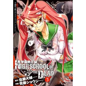 学園黙示録 HIGHSCHOOL OF THE DEAD（4） / 佐藤