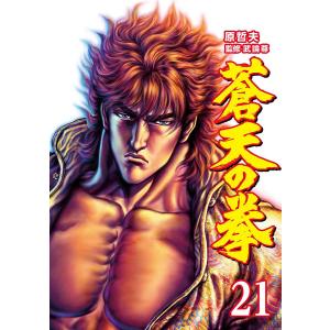 蒼天の拳 全22巻 原哲夫(北斗の拳著者) 中古コミック マンガ 漫画 全巻