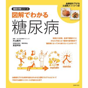 図解でわかる糖尿病 電子書籍版 / 監修:片山隆司 食事療法監修:貴堂明世