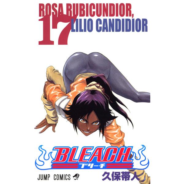 BLEACH モノクロ版 (17) 電子書籍版 / 久保帯人