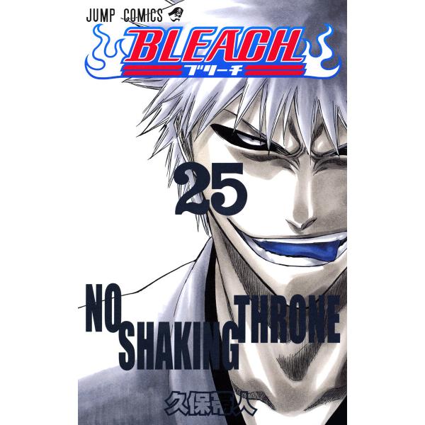 BLEACH モノクロ版 (25) 電子書籍版 / 久保帯人